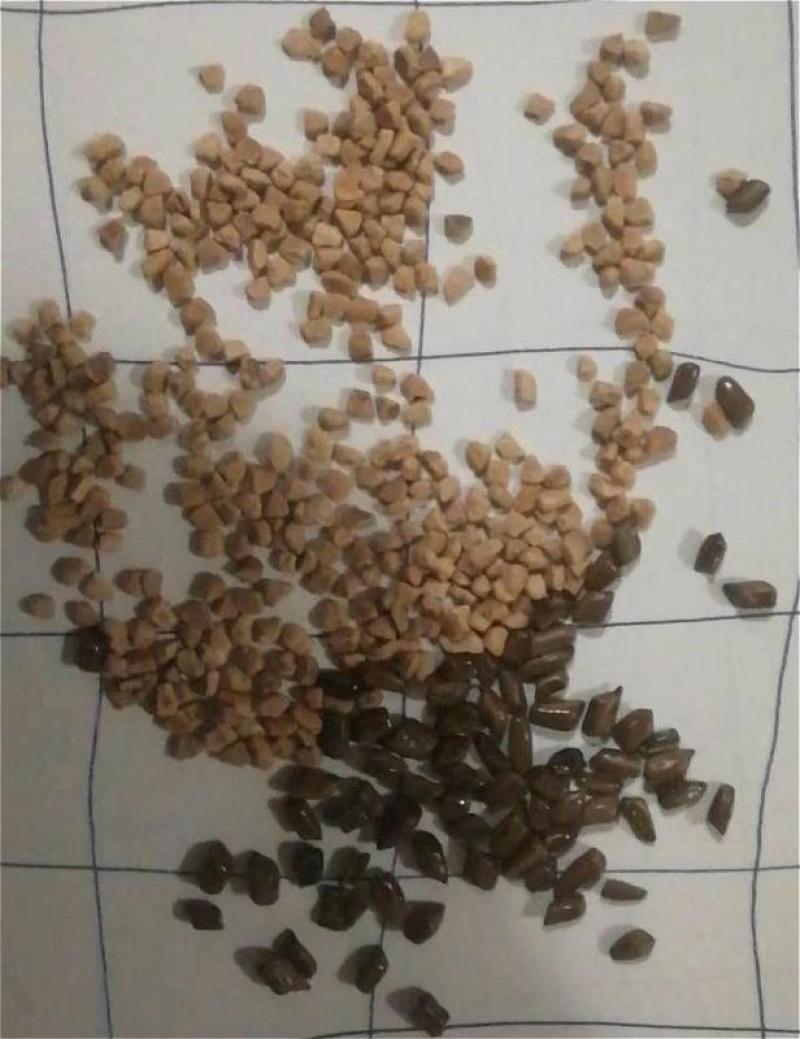 现货直发优质核桃壳原厂家提供充足货源量大从优