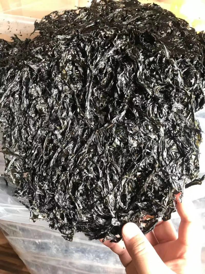 【精品】漳浦头水紫菜大量供应无沙口感品质保证可视频看货