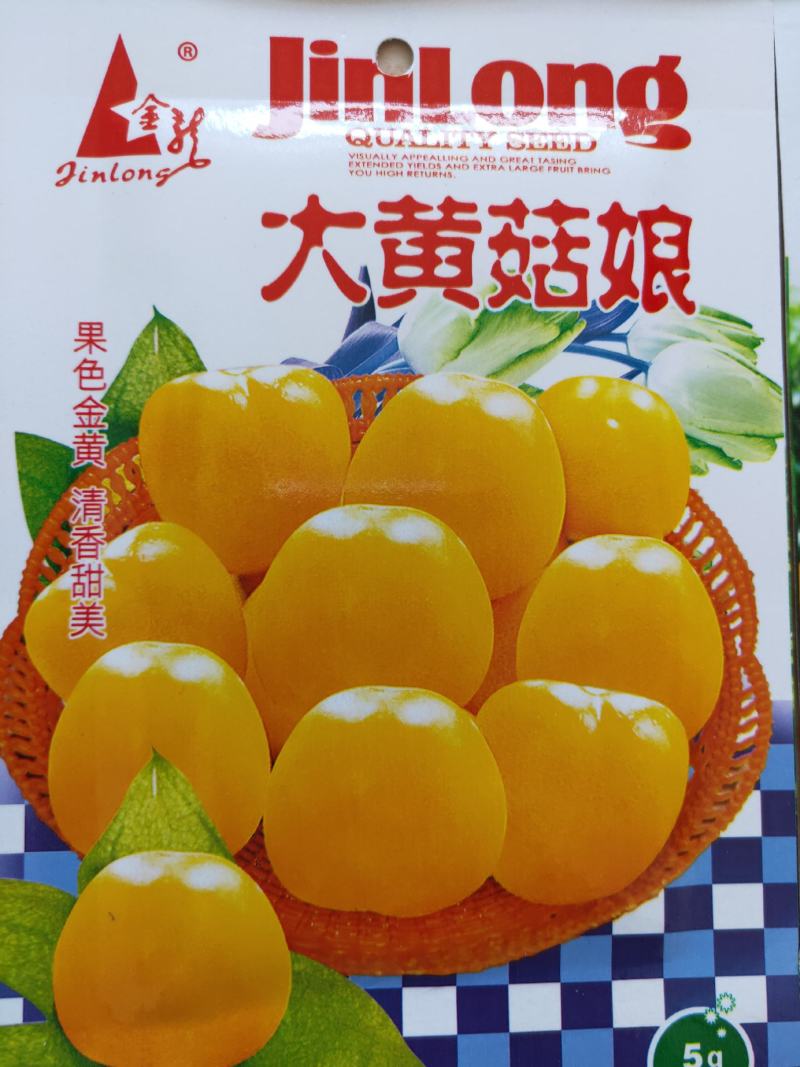 菇娘籽菇娘鲜籽，大菇娘籽，现在开始播籽当年就能收果，果个