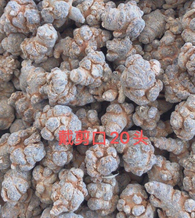 云南文山三七春三七20头带剪口三七和不带剪口三七量大从优