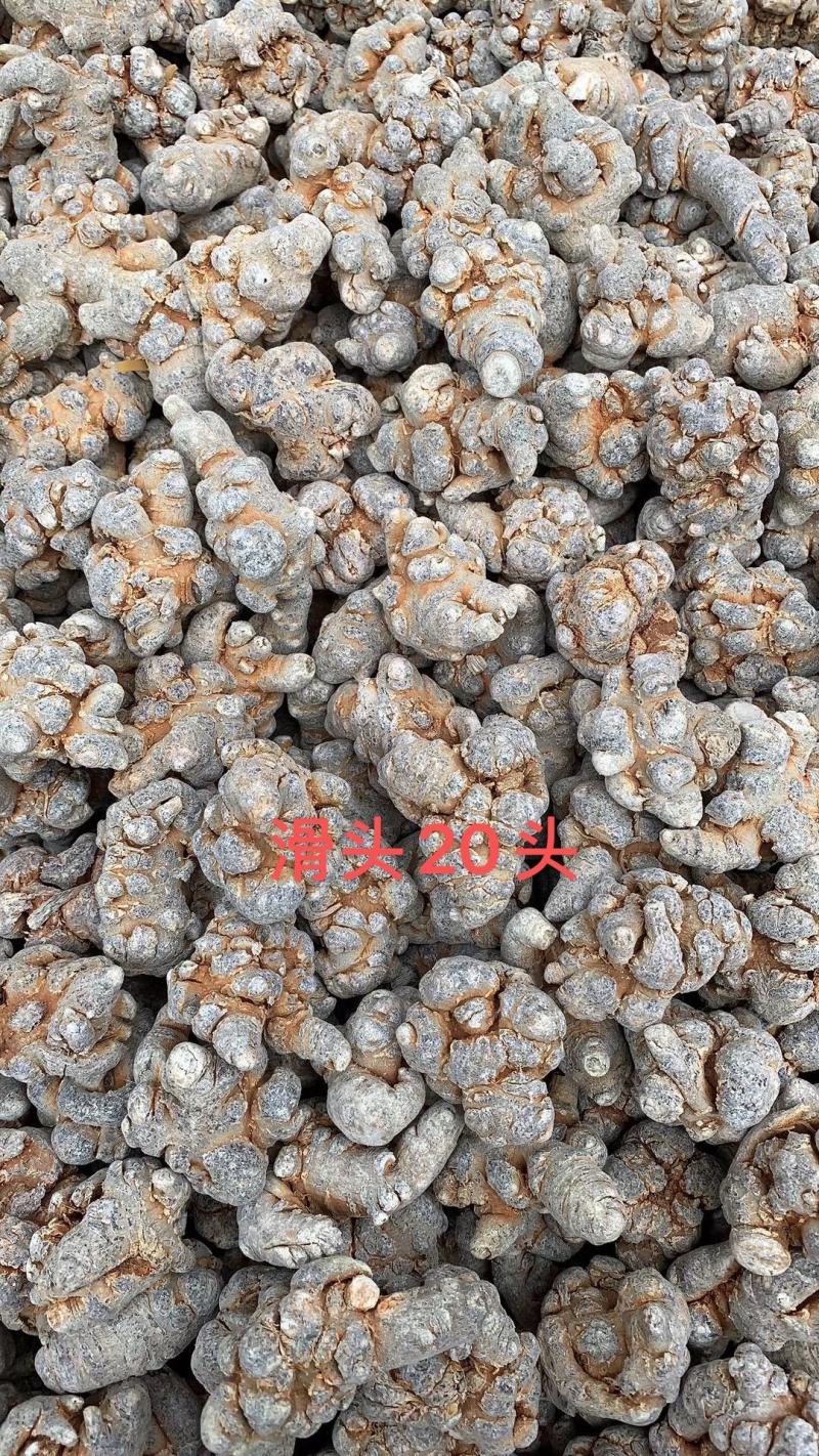 云南文山三七春三七20头带剪口三七和不带剪口三七量大从优