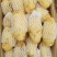 土豆，土豆，蔬菜