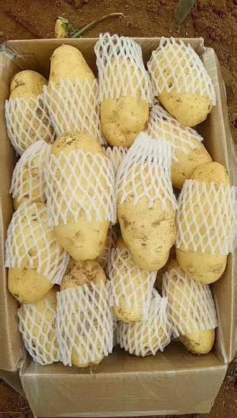 土豆，土豆，蔬菜