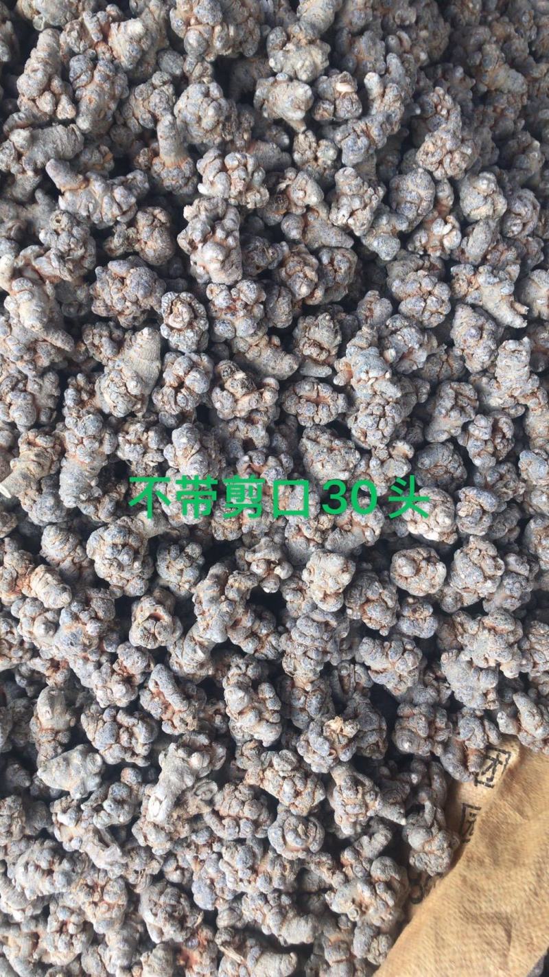 云南文山三七春三七30头带剪口三七和不带剪口三七量大从优