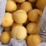 【精品黄金黄桃】现摘现发，硬度高果面亮，口感脆甜，特别甜