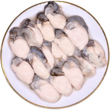 连云港批发新鲜原汁原浆生蚝肉牡蛎肉产地直发批发