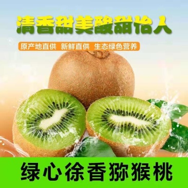 大量供应陕西绿心徐香猕猴桃翠香猕猴桃