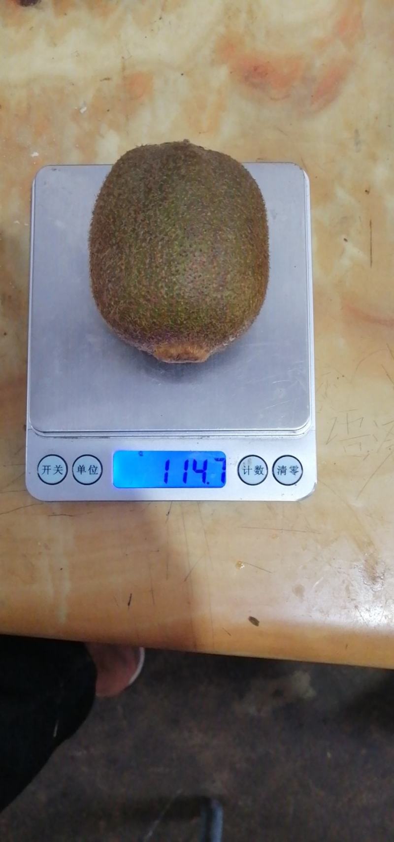 大量供应陕西绿心徐香猕猴桃翠香猕猴桃