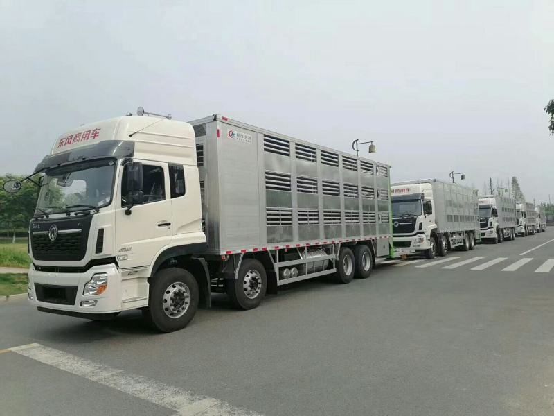 东风天龙前四后八畜禽运输车