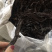 紫草保庆药业批发紫草实物拍摄发货如图通货