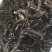 紫草保庆药业批发紫草实物拍摄发货如图通货