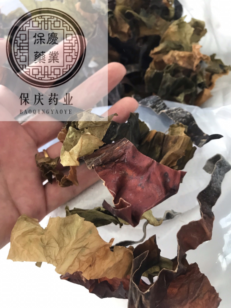 昆布正品昆布保庆药业批发昆布实物拍摄！