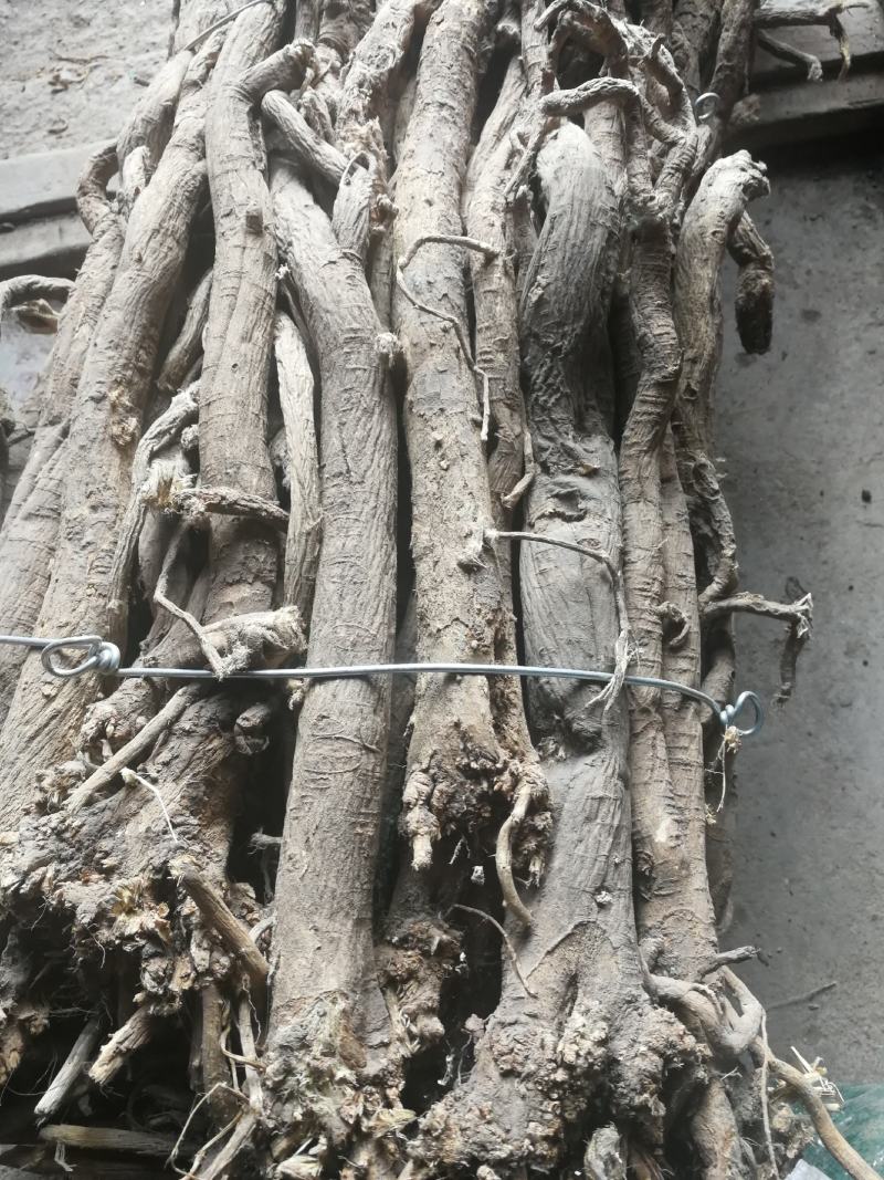 天然野生黄芪，高含量，整支，切片，全国包邮。