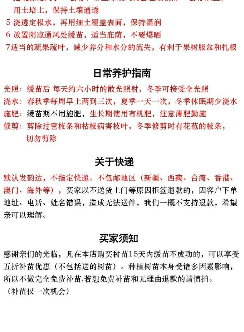 新品种矮化苹果树苗盆景南北方种植老桩嫁接果树水果苗