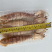 生猛熟煮急冻大号皮皮虾，大号肉虾，品质至上，价格实惠。
