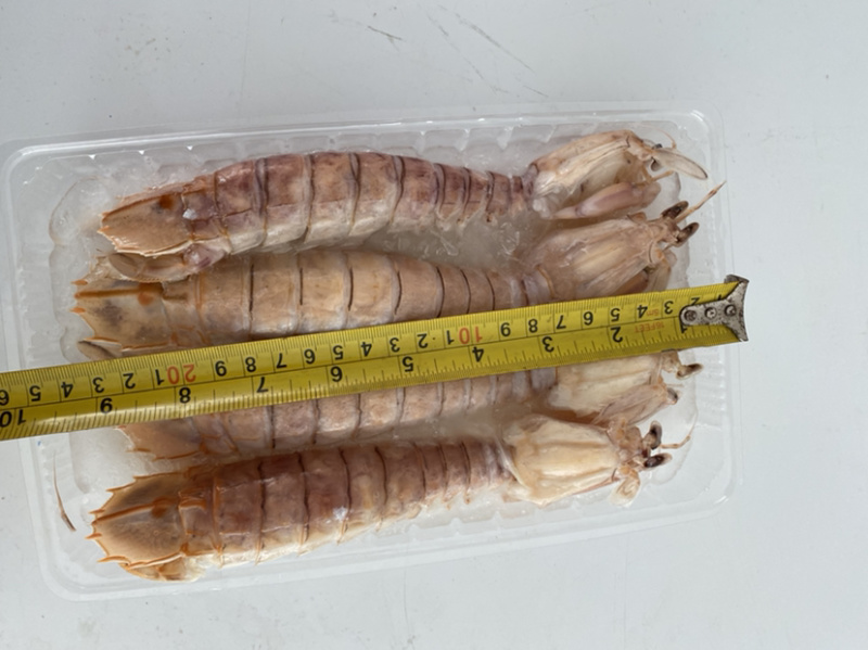 生猛熟煮急冻大号皮皮虾，大号肉虾，品质至上，价格实惠。