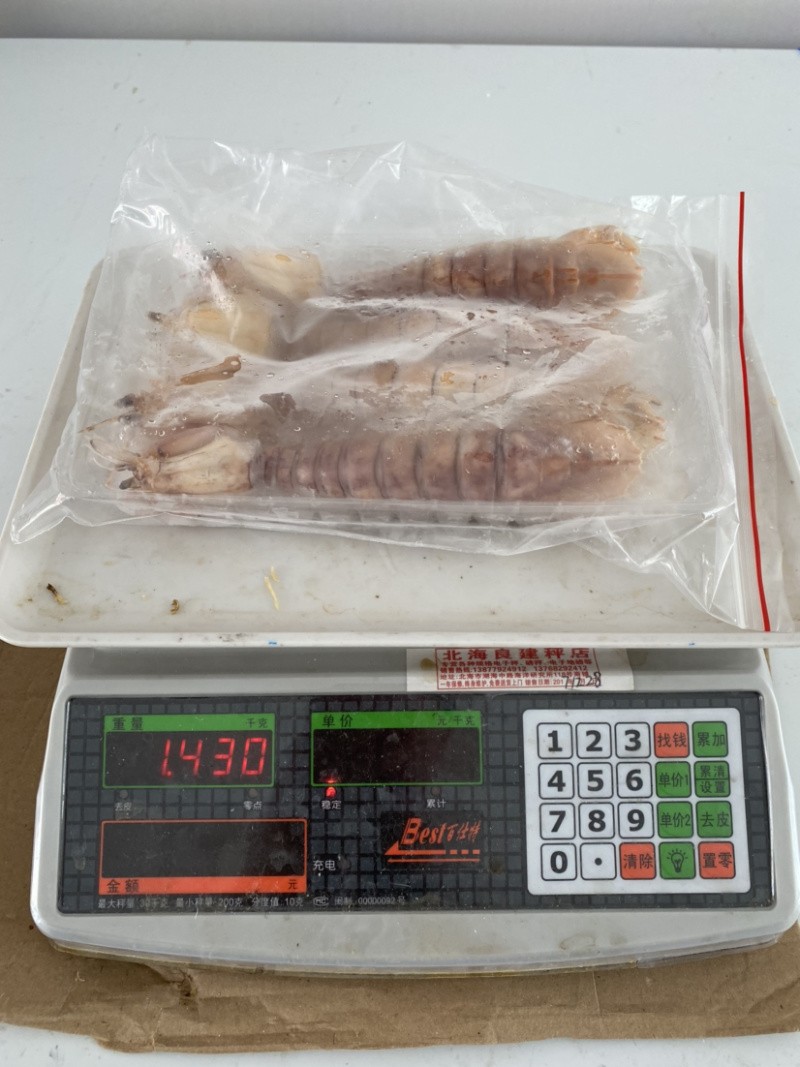 生猛熟煮急冻大号皮皮虾，大号肉虾，品质至上，价格实惠。