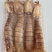 生猛熟煮急冻大号皮皮虾，大号肉虾，品质至上，价格实惠。