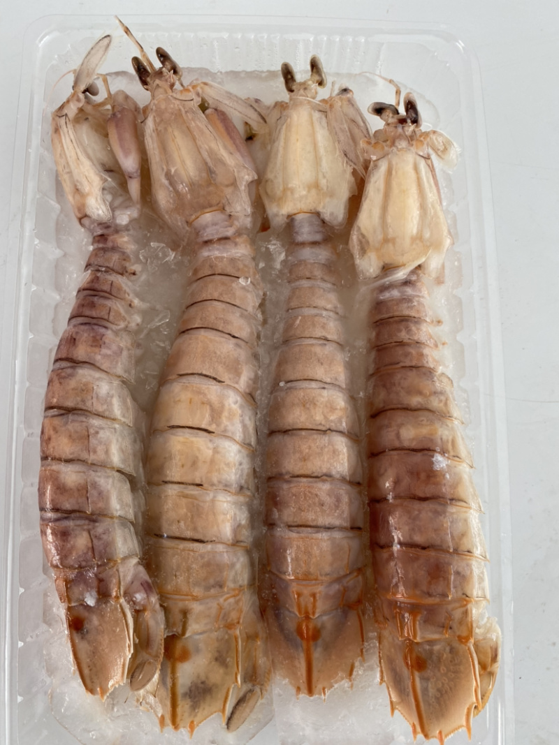 生猛熟煮急冻大号皮皮虾，大号肉虾，品质至上，价格实惠。