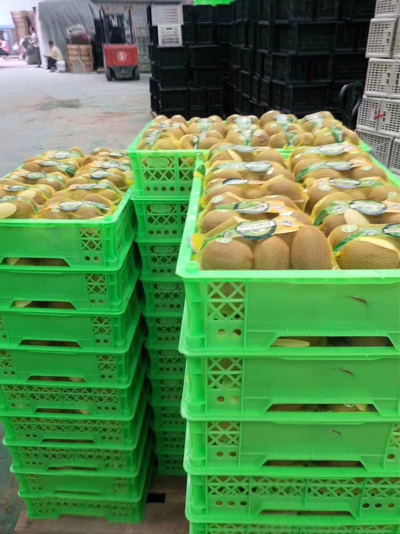 陕西绿心猕猴桃奇异果应季新鲜水果