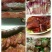 出售正宗农村腊肉、腊腓、火脚等