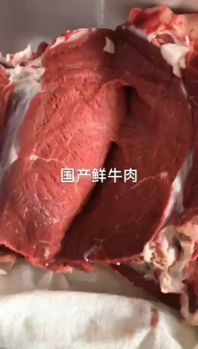 牛肉，新鲜剔骨纯干无水黄牛肉，各个部位都有，根据客户要求