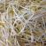 山东寿光，豆芽豆腐生产厂家，全部厂家生产