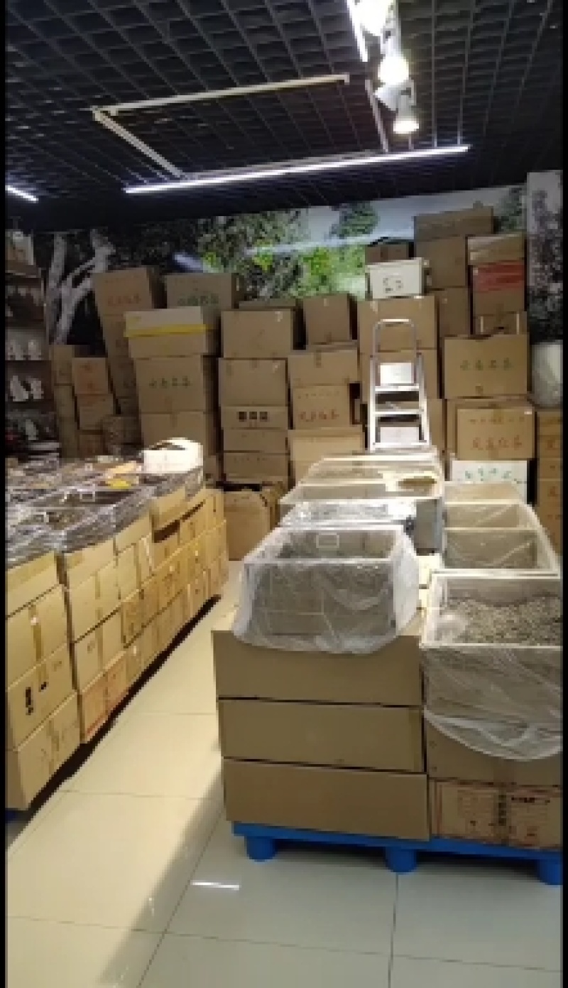普洱熟茶特级散料500克特价:68元送茶盒一套厂家直