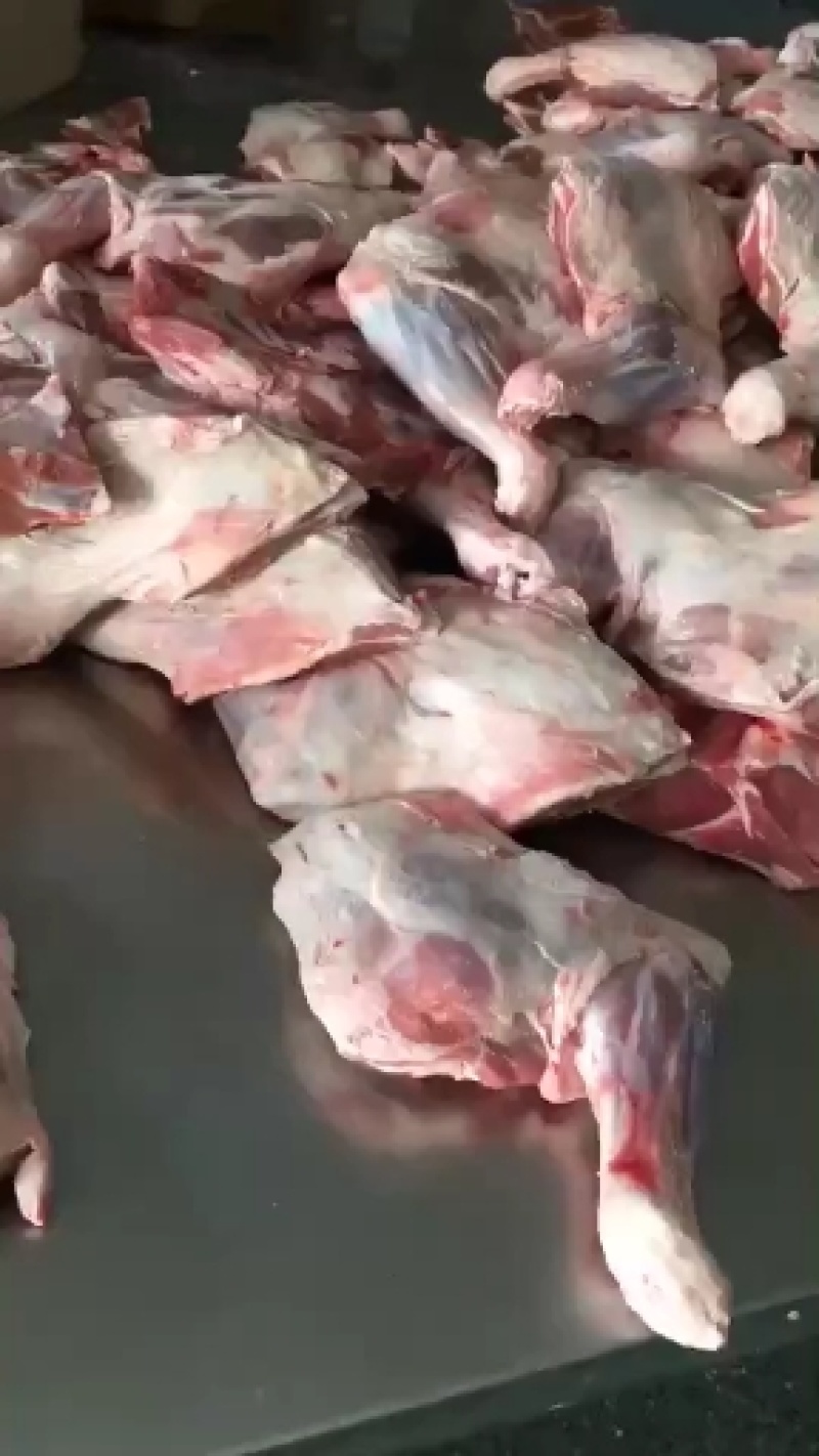 羔羊前腿，纯干无水，袋装，散装都有，根据客户要求发货