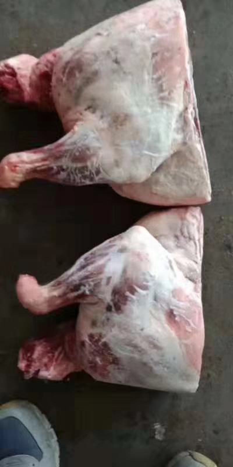 羔羊前腿，纯干无水，袋装，散装都有，根据客户要求发货