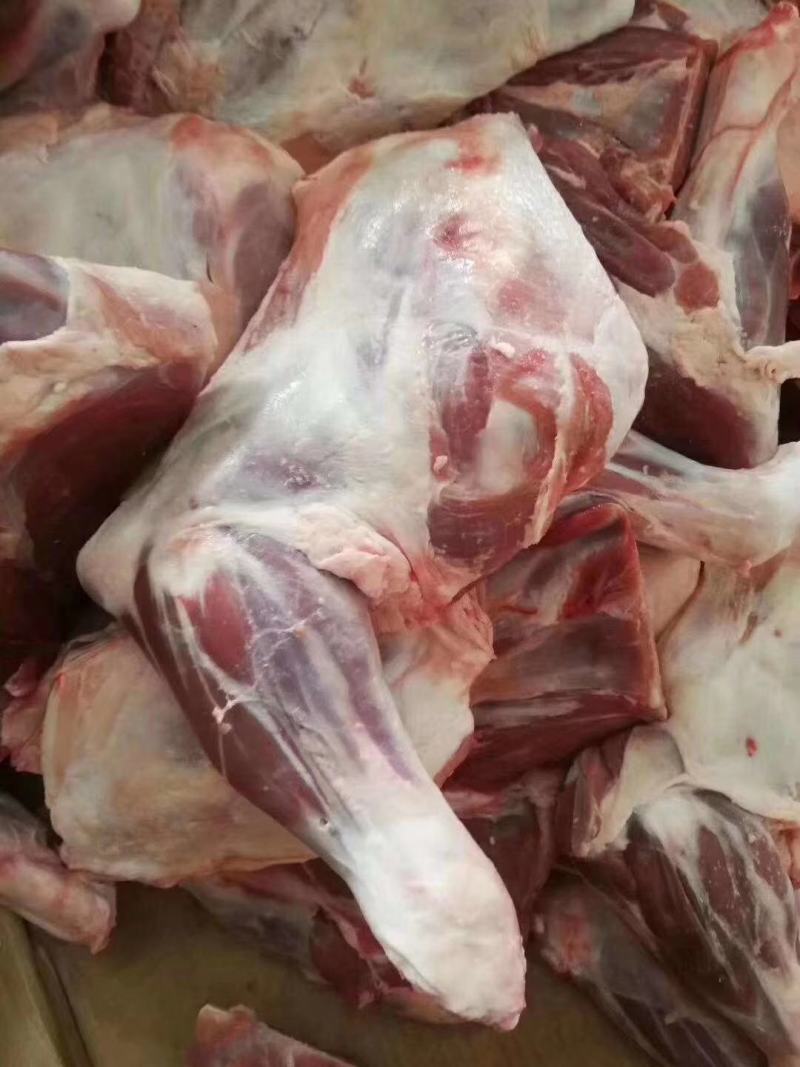 羔羊前腿，纯干无水，袋装，散装都有，根据客户要求发货