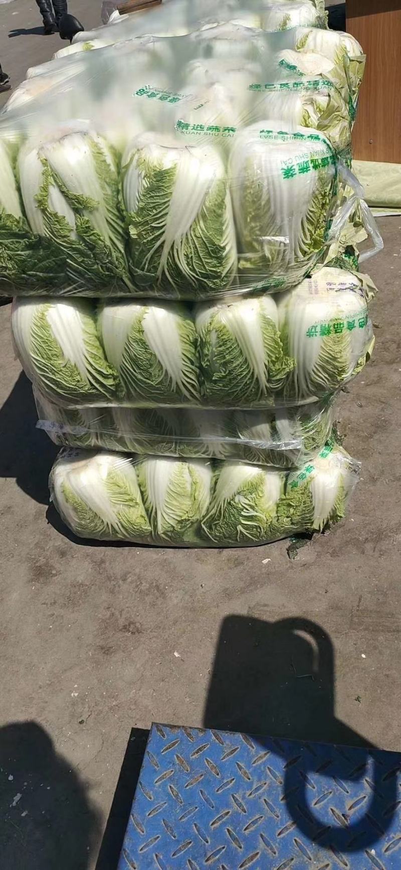 精品大白菜，量大价优