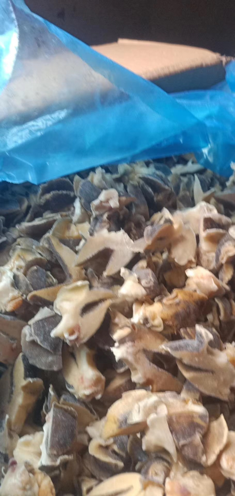 干冰高品质玉螺切片玉螺切片