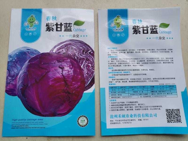 紫阳紫甘蓝种子紫甘兰结球包心菜苗春秋季四季高产抗病包菜种