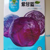 紫阳紫甘蓝种子紫甘兰结球包心菜苗春秋季四季高产抗病包菜种