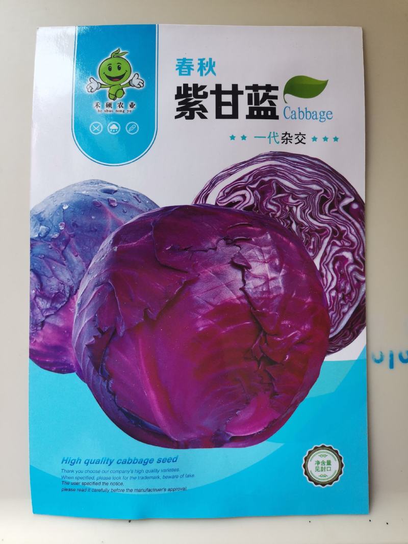紫阳紫甘蓝种子紫甘兰结球包心菜苗春秋季四季高产抗病包菜种
