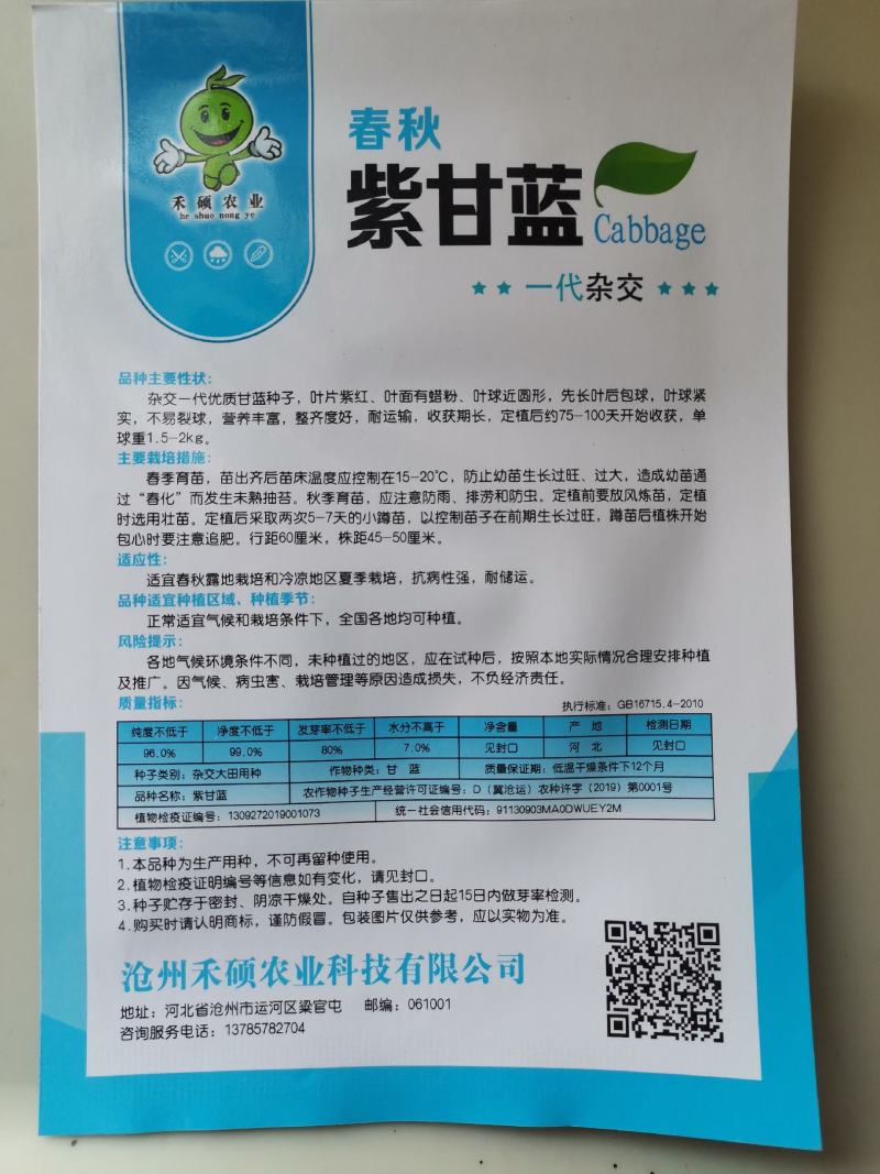 紫阳紫甘蓝种子紫甘兰结球包心菜苗春秋季四季高产抗病包菜种