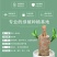 带芽巴西木阳台办公室新房懒人水培绿植格鲁特幸运木盆栽