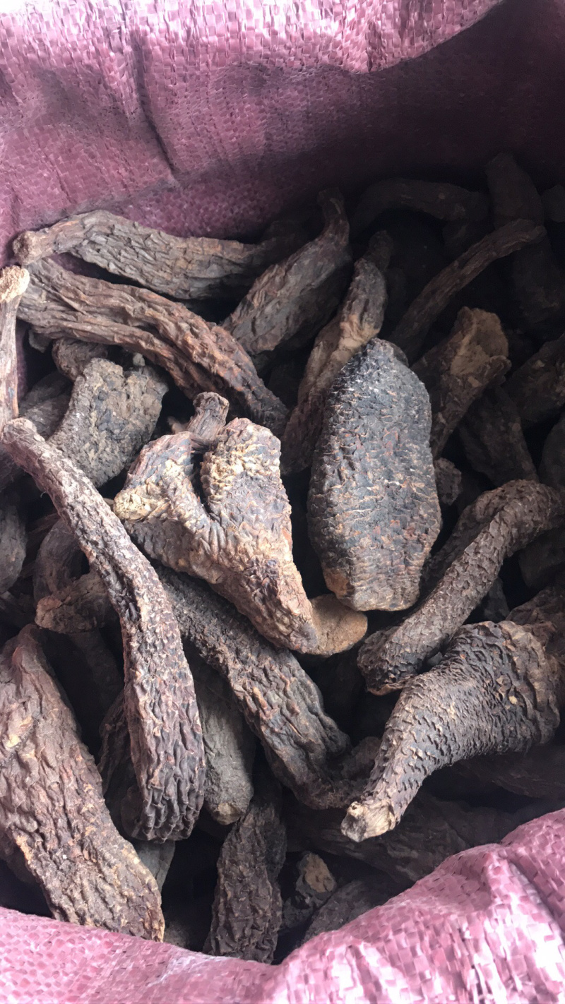 【强推】管花肉苁蓉批发，可视频看货，量大从优，上市中