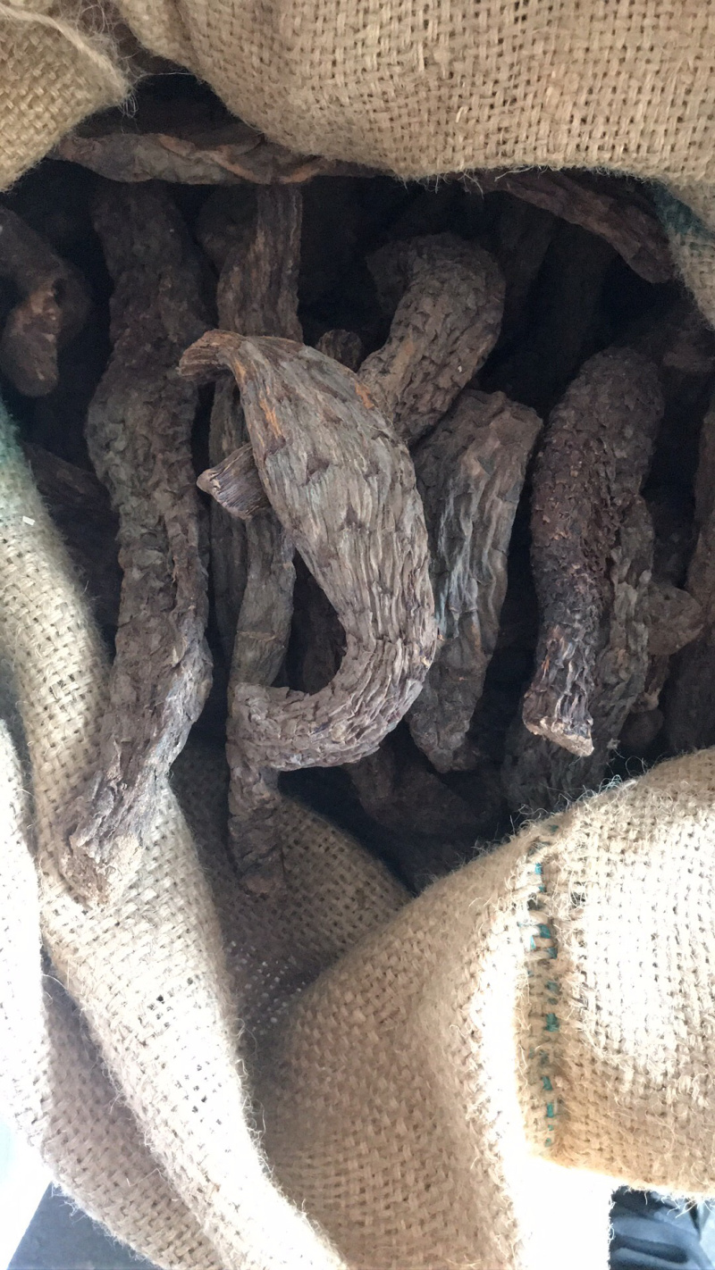【强推】管花肉苁蓉批发，可视频看货，量大从优，上市中