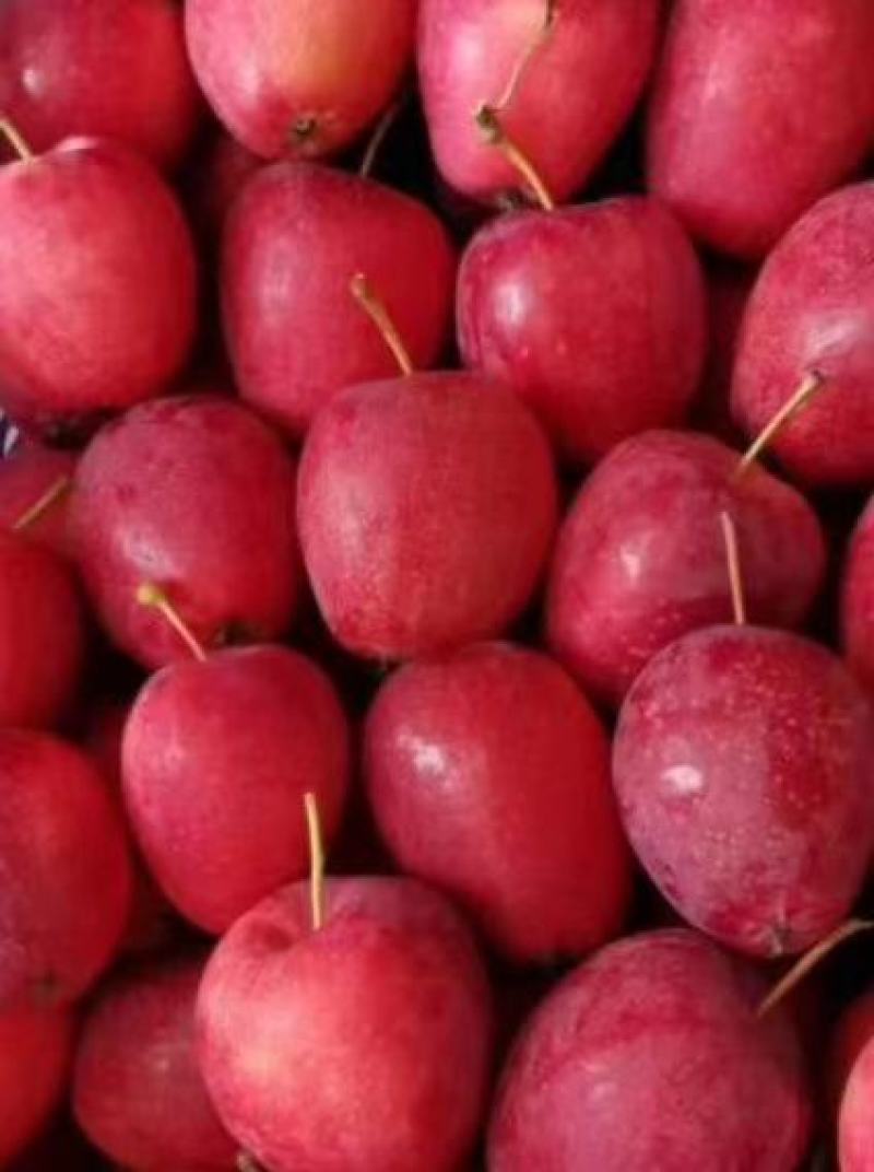 鸡心果，产地货足，所格便宜