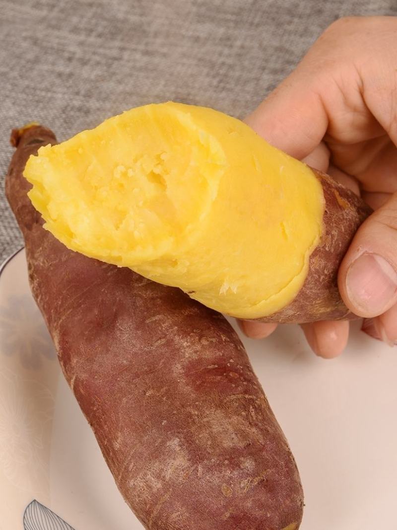 【精品】山东济薯26圆润饱满香甜可3两以上黄心可视频看货