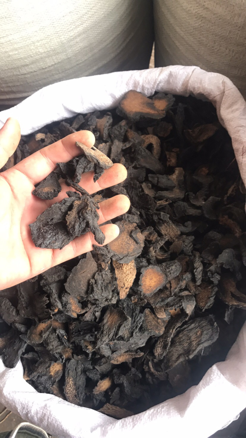 新疆管花肉苁蓉熟切片，可视频看货，量大从优