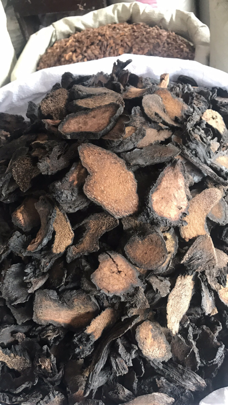 新疆管花肉苁蓉熟切片，可视频看货，量大从优