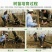 嫁接桃树苗南北方种植特大水蜜桃黄桃冬桃果树苗盆栽地栽