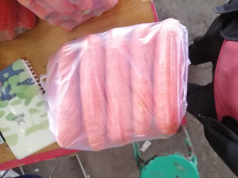 精品红萝卜，一手货源，常年供应，保质保量！