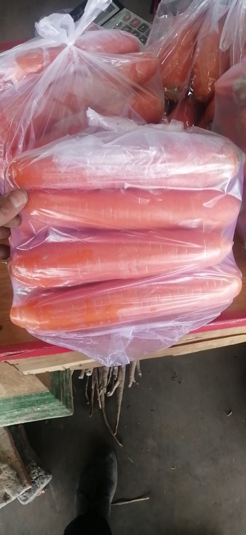 精品红萝卜，一手货源，常年供应，保质保量！