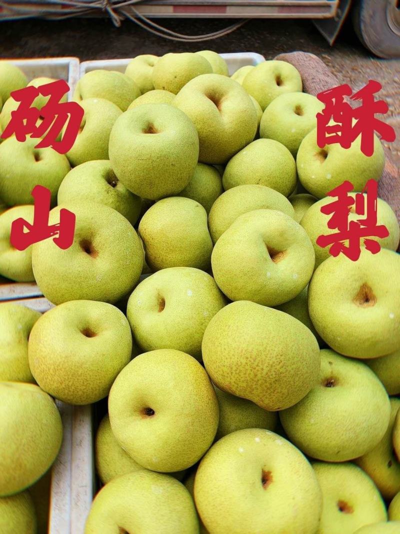 酥梨【实力】砀山酥梨，安徽梨果大核小皮薄多汁