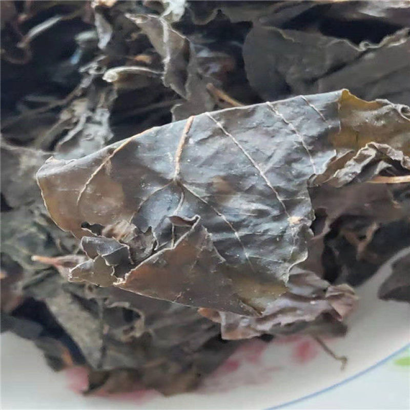 干红薯叶新鲜采摘晾晒