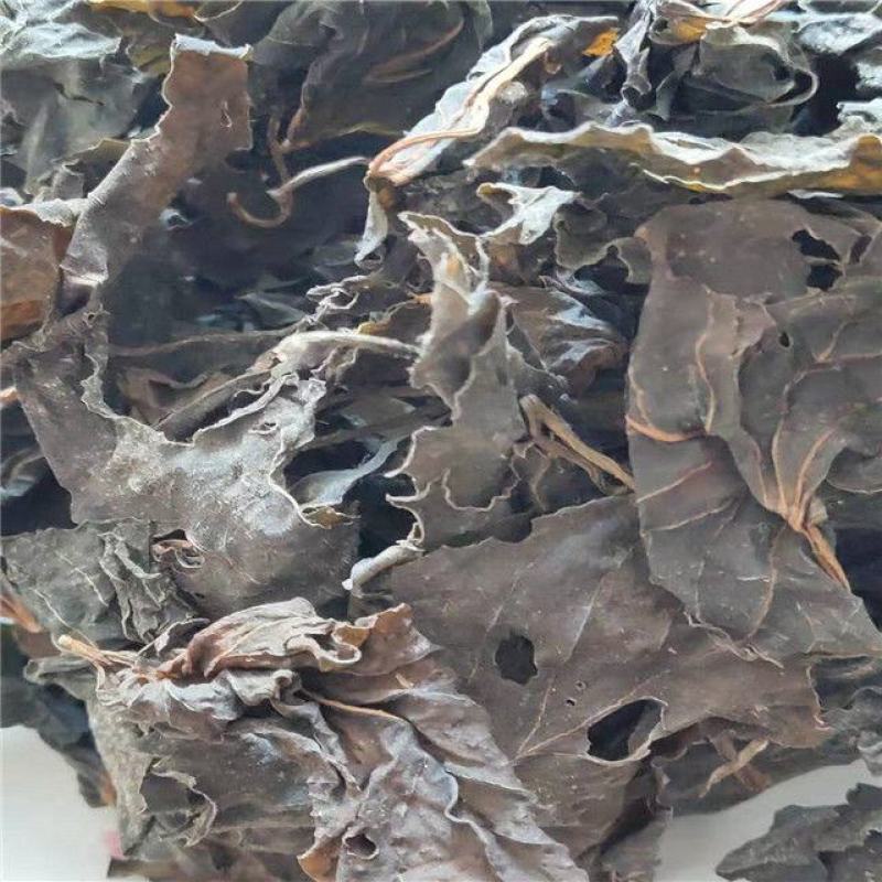 干红薯叶新鲜采摘晾晒